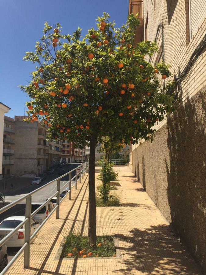 Apartment Sunny Harbour Санта Пола Екстериор снимка